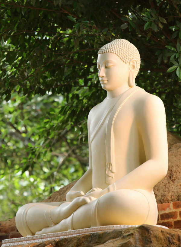 budha